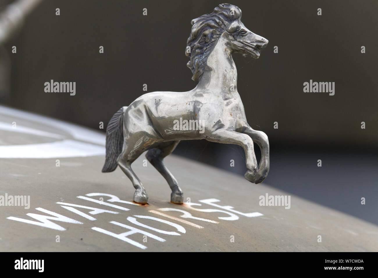 War Horse ornamento del cofano Foto Stock