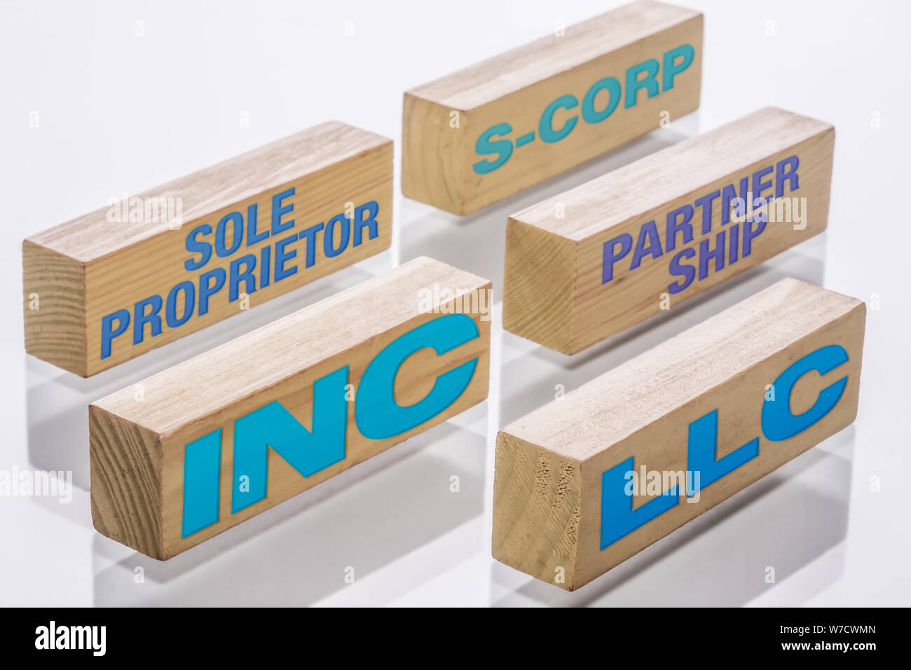 Principali tipi di formazioni di business tra cui imprese individuali, S-corp, partenariato, LLC e incorporazioni, rappresentato dai blocchi di costruzione. Foto Stock