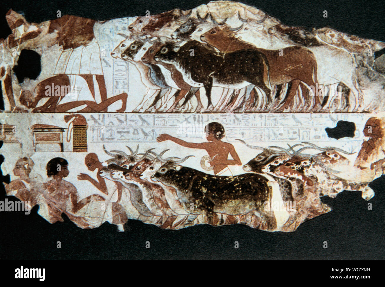 La pittura murale della tomba del Nebarunun, Tebe, Egitto, c1350 BC. Artista: sconosciuto Foto Stock