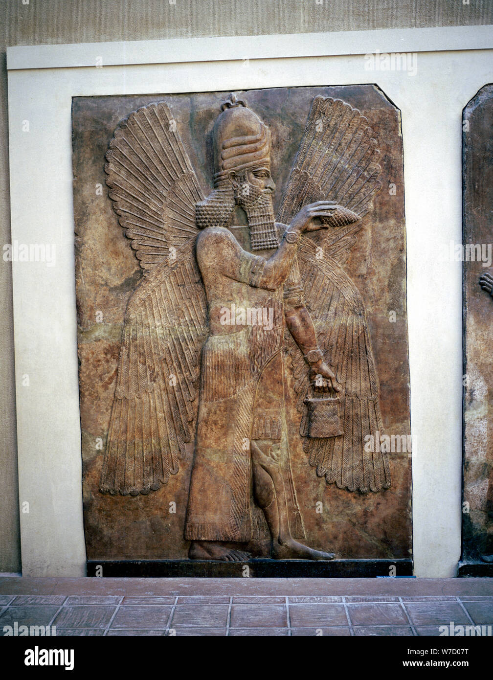 Rilievo assiro di un genio alato con una benna e un cono di cedro, Khorsabad, VIII secolo A.C. Artista: sconosciuto Foto Stock