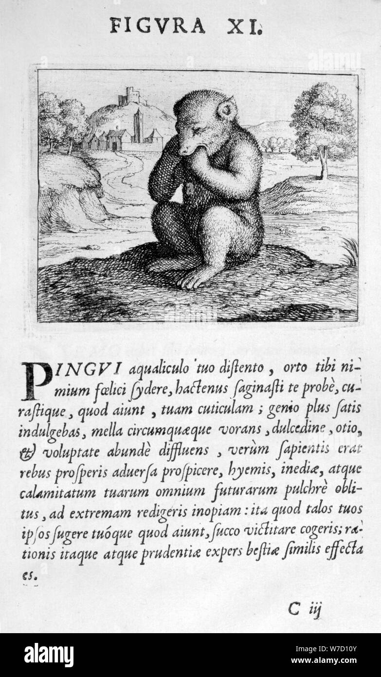 Profezia figura XI da Prognosticatio Eximii Doctoris Paracelsi, 1536. Artista: Theophrastus Bombastus von Hohenheim Paracelso Foto Stock