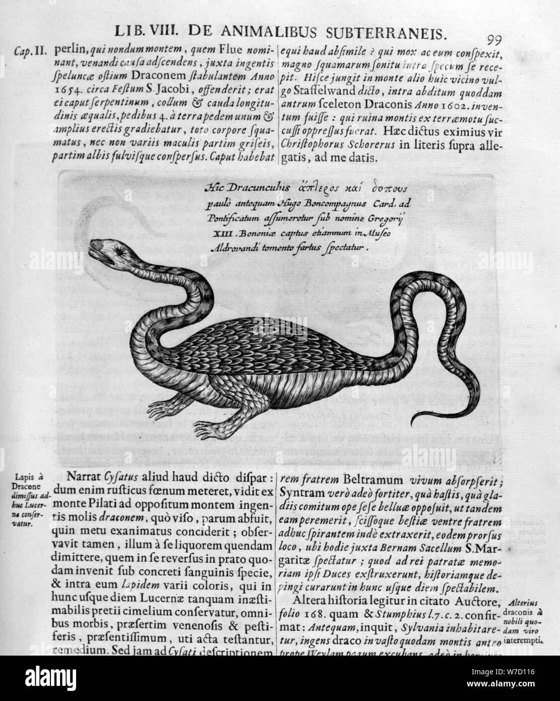 Piccolo drago, 1678. Artista: Athanasius Kircher Foto Stock
