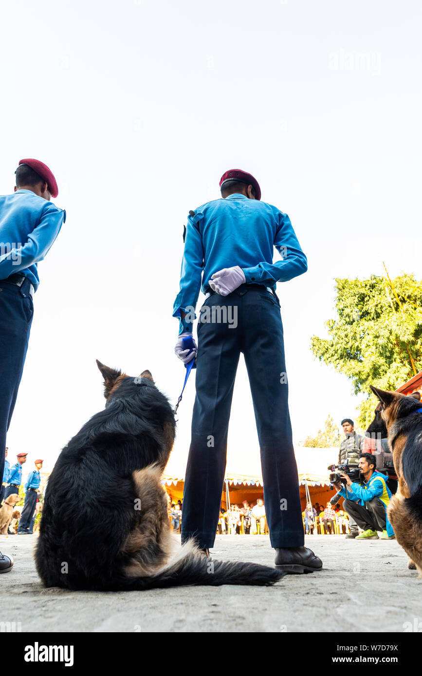 KATHMANDU, NEPAL - 6 Novembre 2018: polizia nepalese celebra Kukur Tihar è (cane festival) alla centrale di polizia di addestramento del cane scuola. Foto Stock