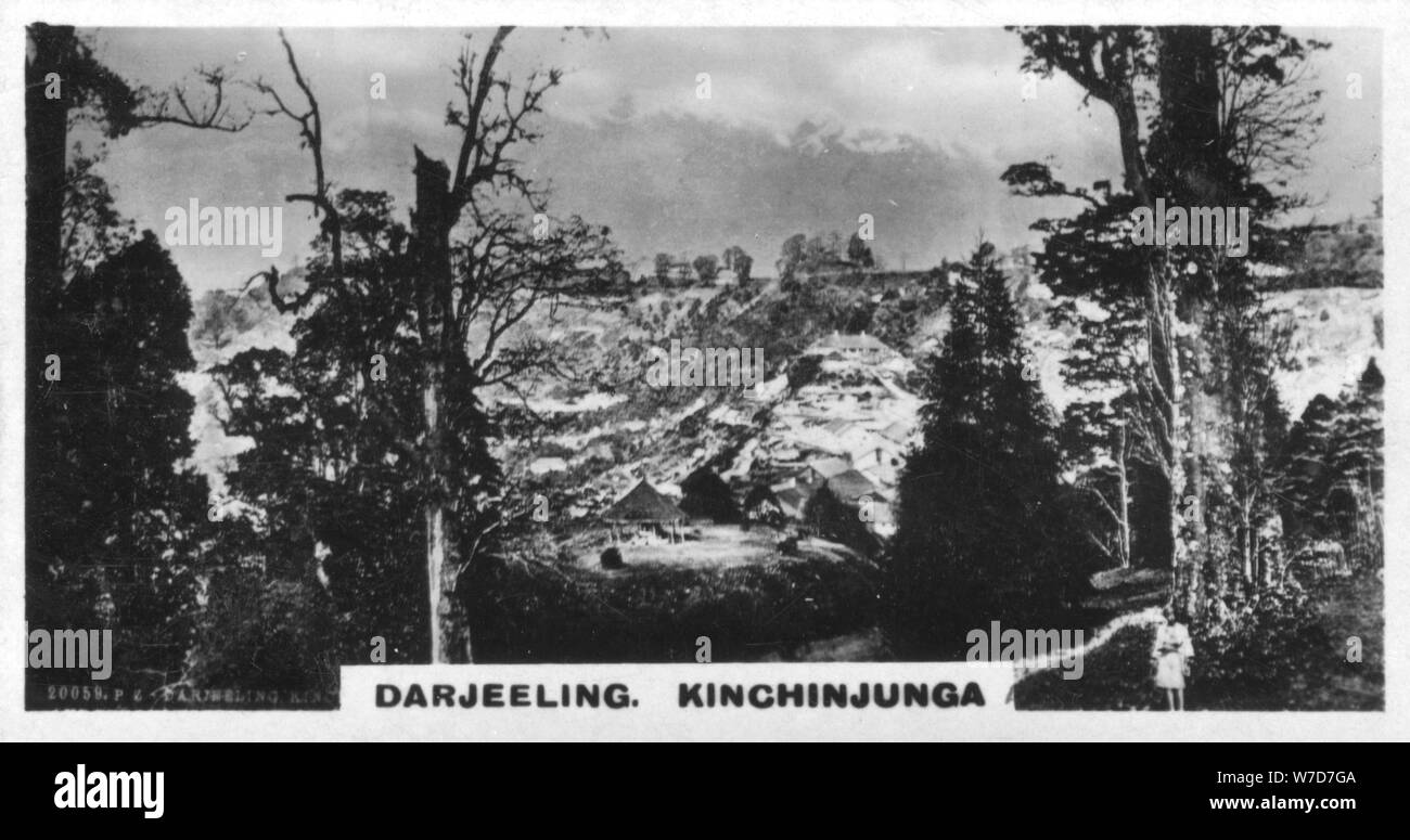 Kinchinjunga da legno di faggio, Darjeeling, India, c1925. Artista: sconosciuto Foto Stock