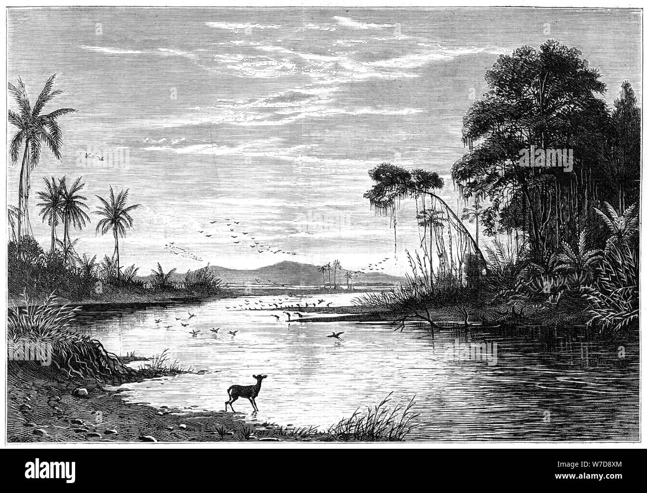 Una scena di fiume in Venezuela, 1877. Artista: sconosciuto Foto Stock