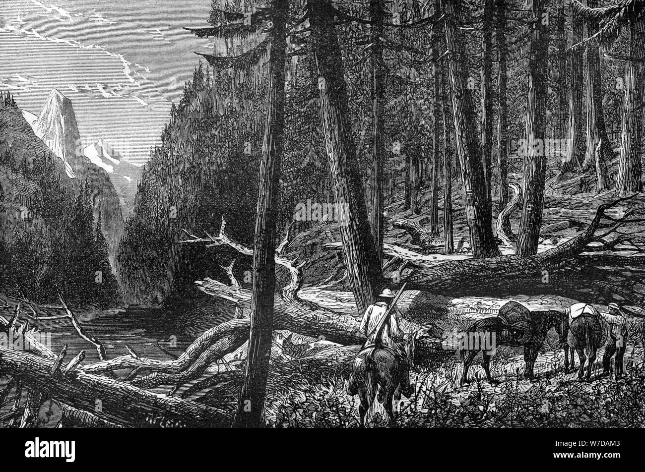 Cavalcando attraverso la foresta, British Columbia, Canada, XIX secolo.Artista: Leitch Foto Stock