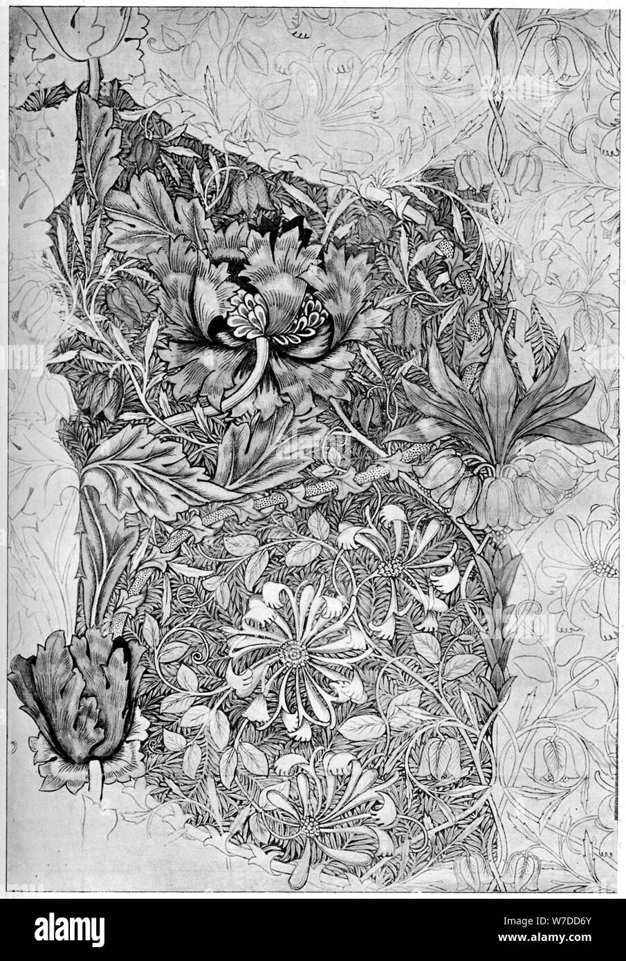 Caprifoglio modello stampato sulla biancheria, 1883 (1934).Artista: William Morris Foto Stock
