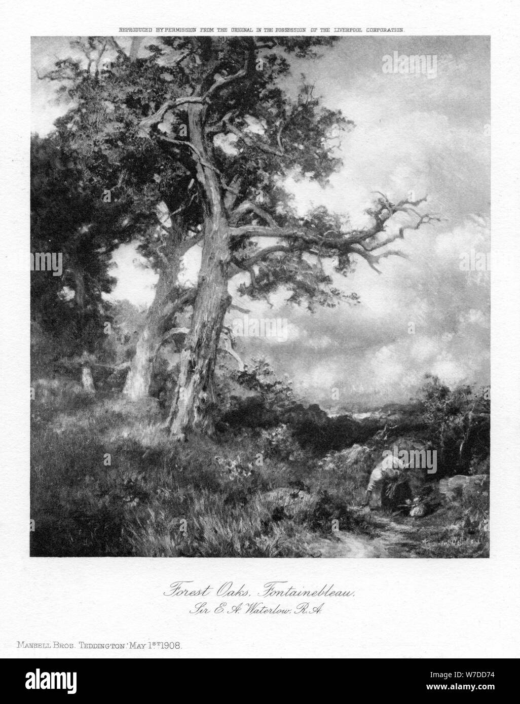 " Foresta di querce, di Fontainebleau', 1908.Artista: Sir Ernest Albert Waterlow Foto Stock