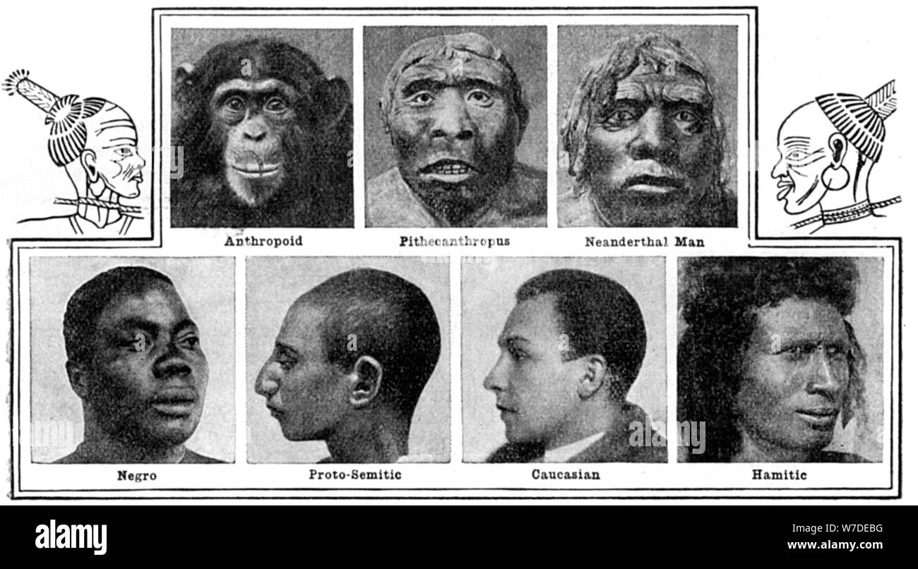 La natura evolutiva di disegni nel naso, 1922. Artista: sconosciuto Foto Stock