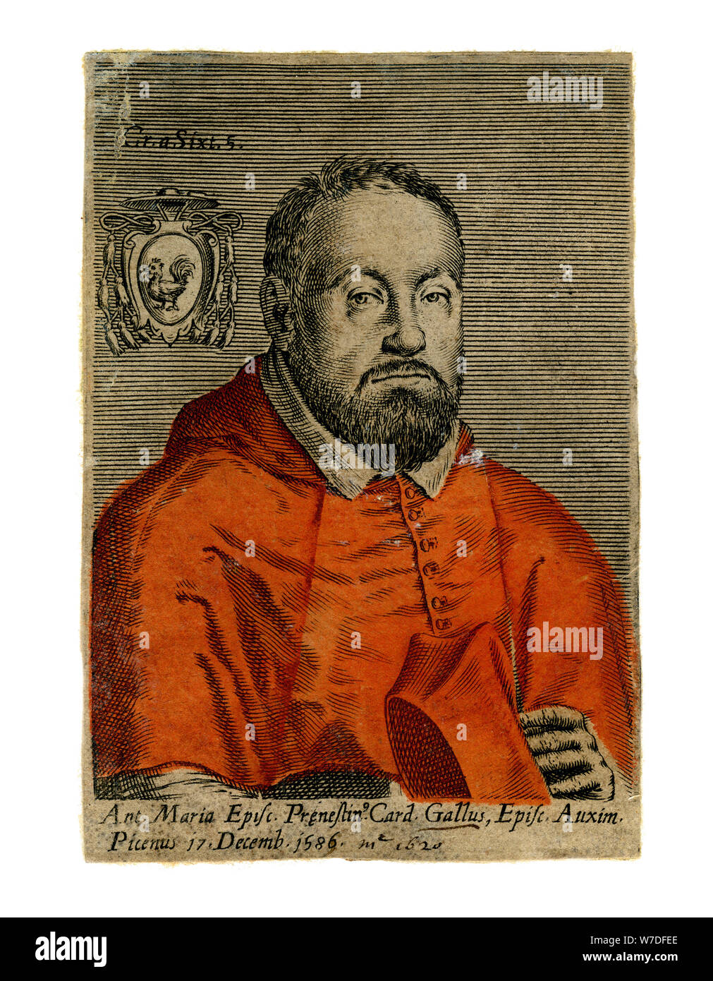 Un cardinale, del XVI secolo. Artista: sconosciuto Foto Stock