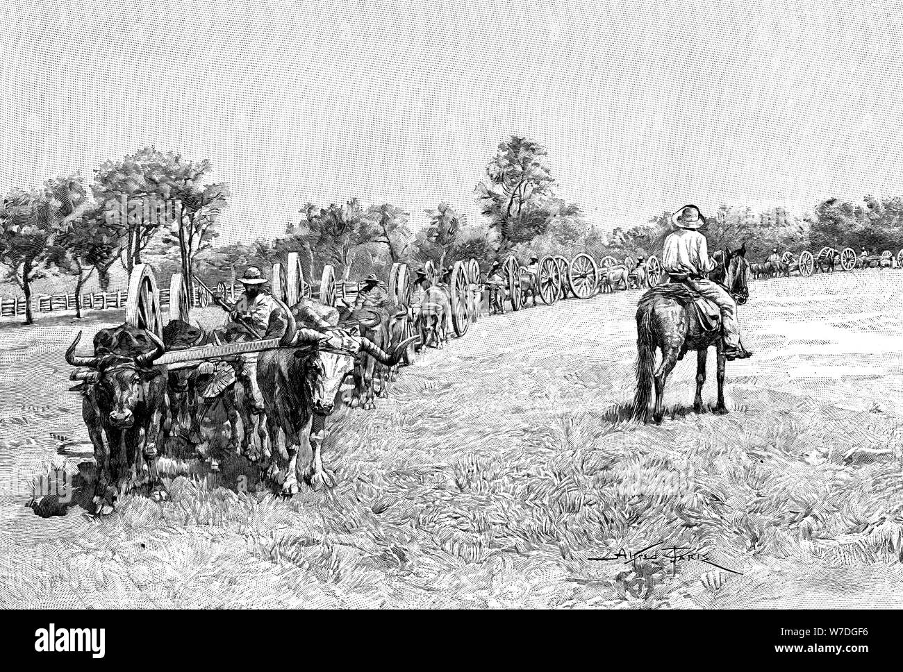 Un convoglio di carri, Sud America, 1895. Artista: sconosciuto Foto Stock