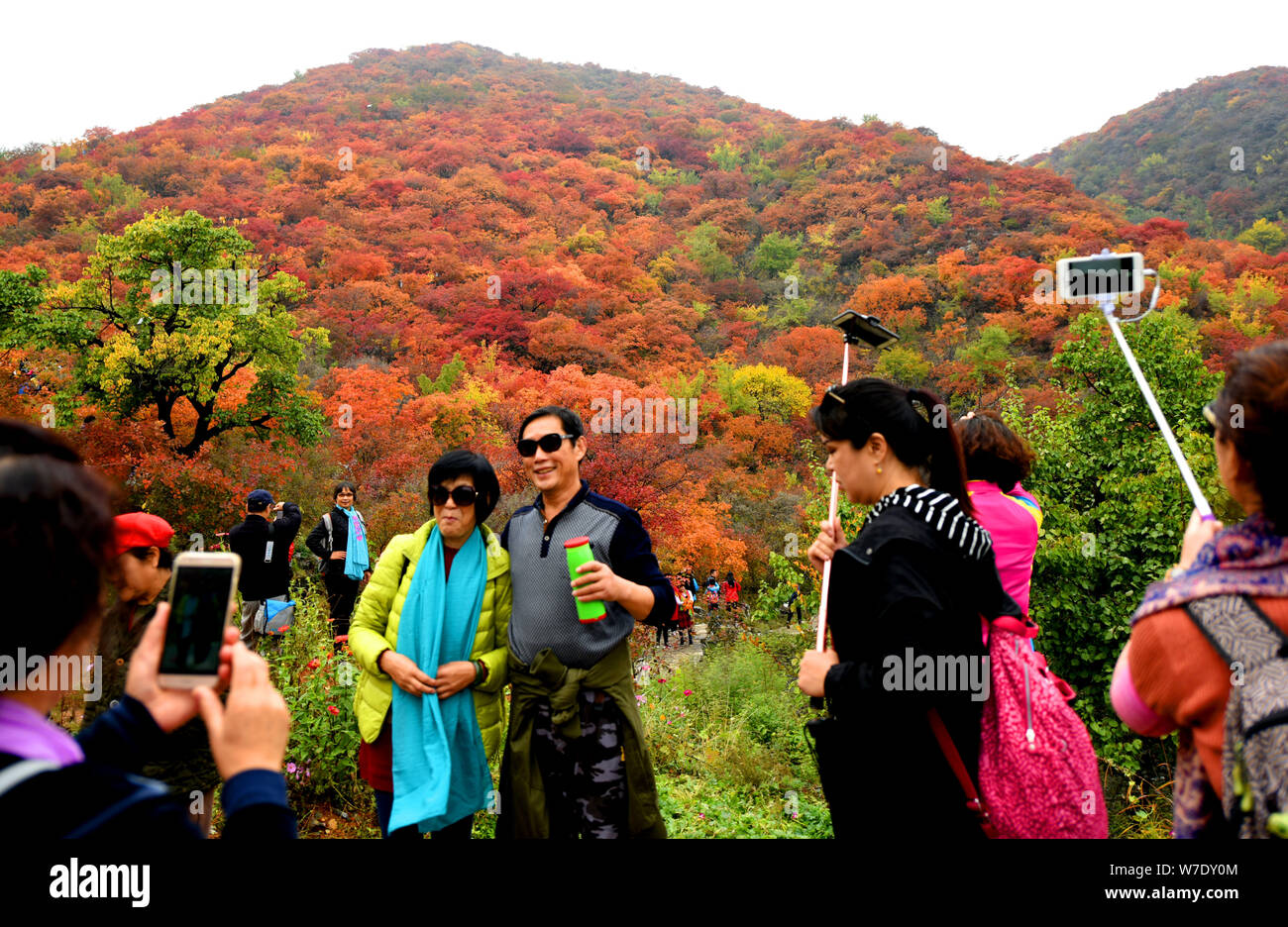 I turisti si riuniscono per visualizzare la rotazione di foglie alla sesta annuale foglie rosse Festival nel distretto Fangshan, Pechino, 22 ottobre 2017. Persone raccolte Foto Stock