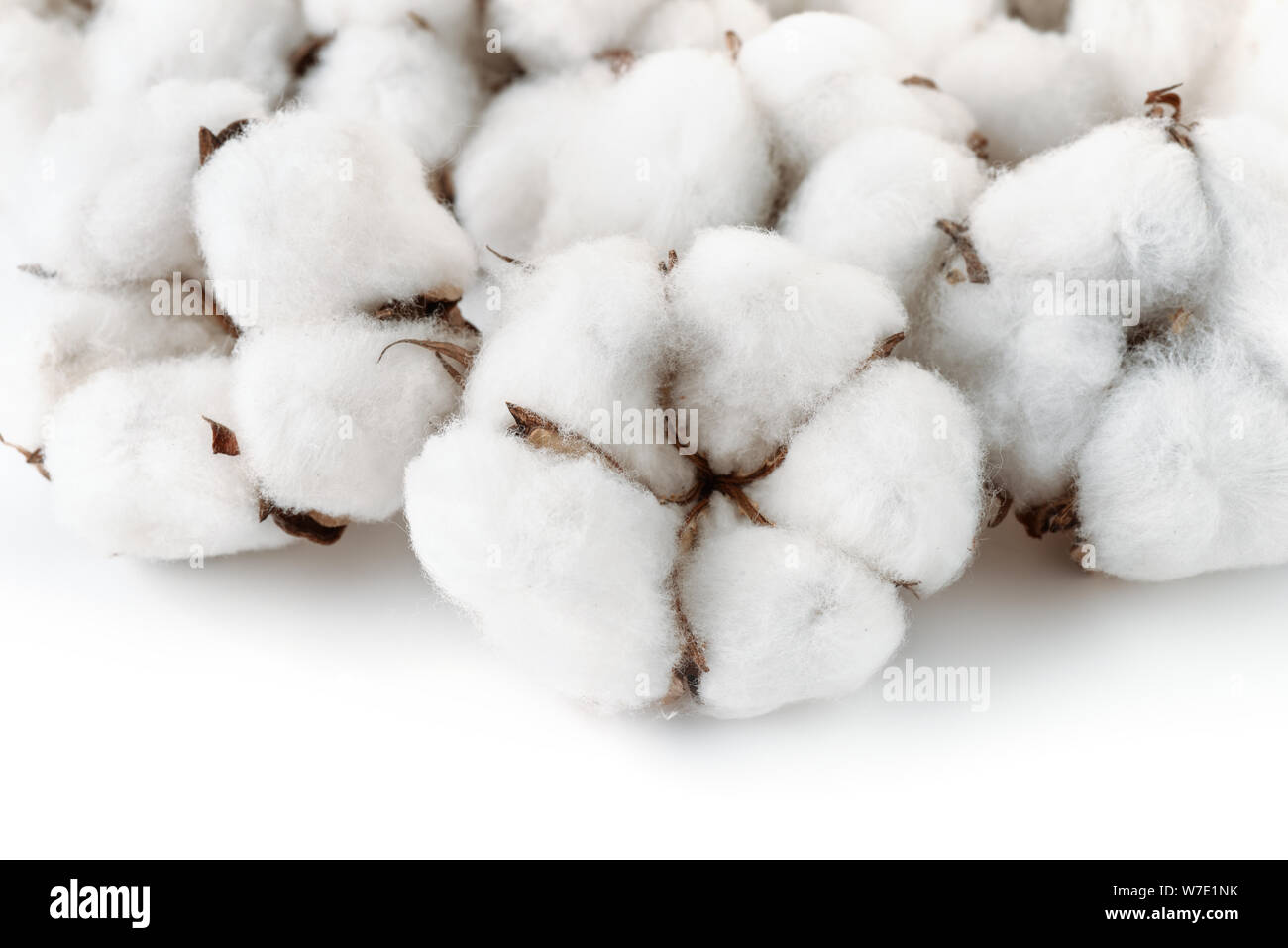 Close up di cotone bolls su sfondo bianco Foto Stock