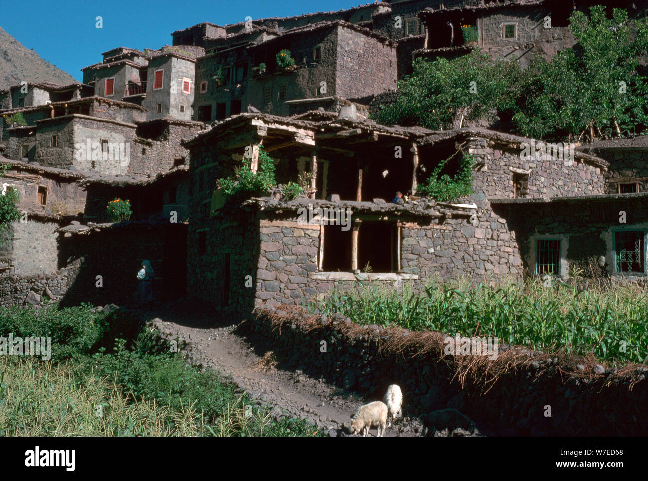 Villaggio berbero di intorno a. Foto Stock
