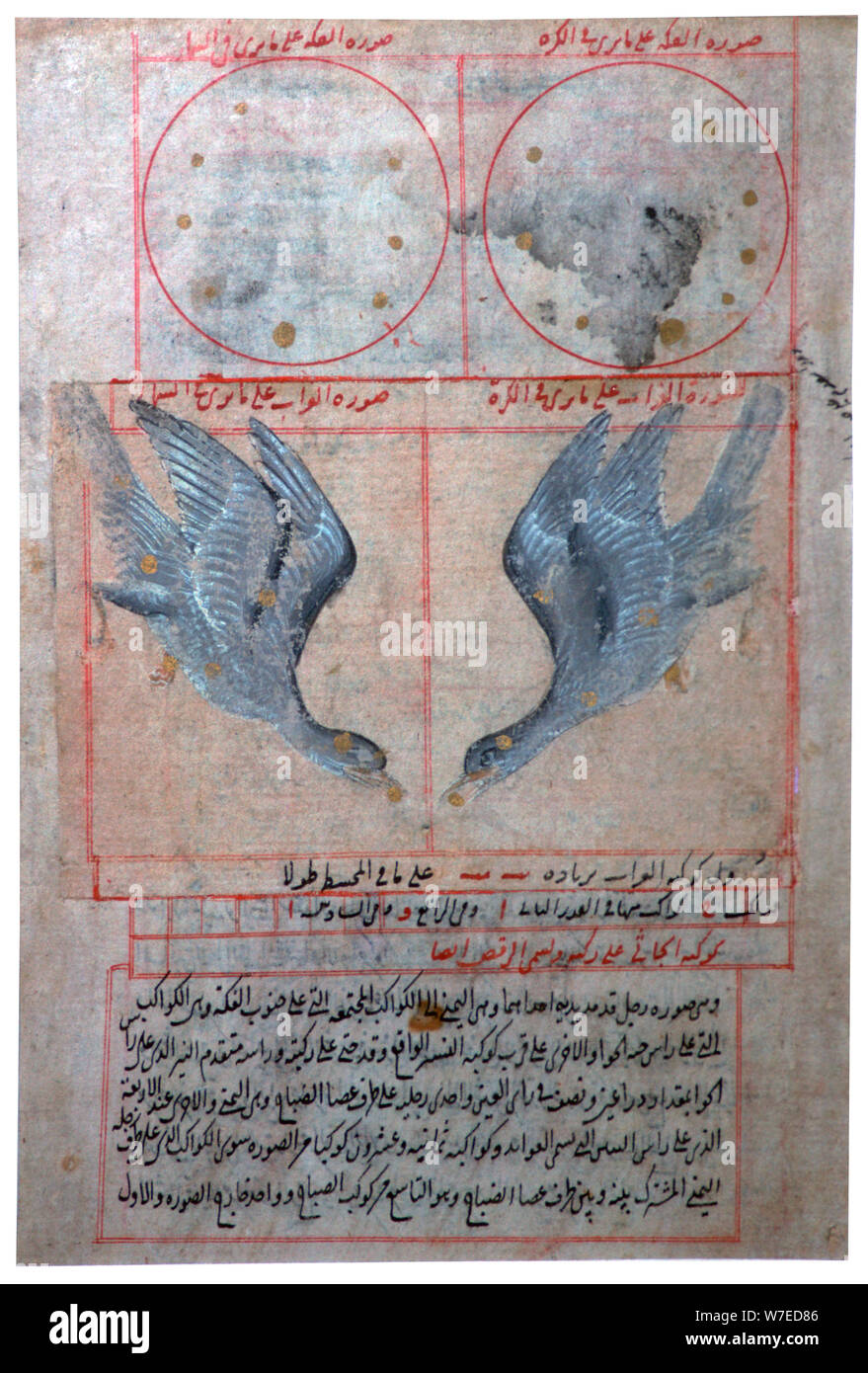 Illustrazione delle costellazioni meridionali, del XVI secolo. Artista: sconosciuto Foto Stock