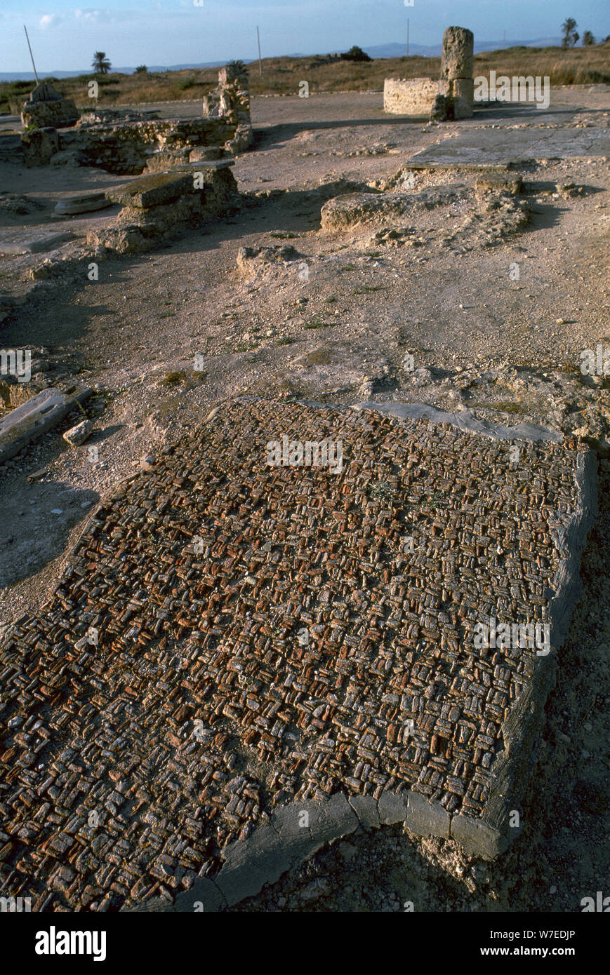 Punica il pavimento a mosaico, c.VI secolo A.C. Artista: sconosciuto Foto Stock