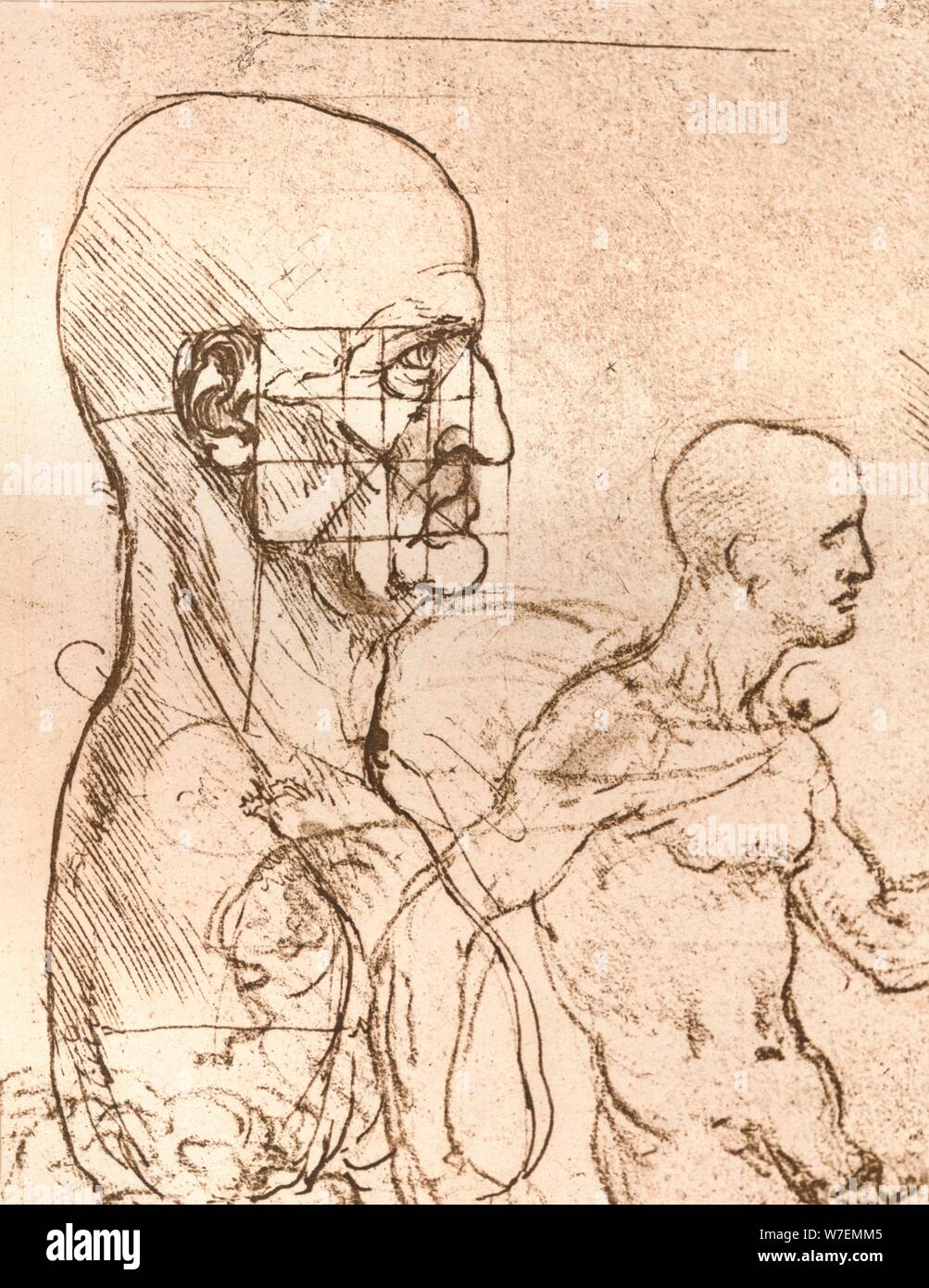 Disegno che illustra la teoria delle proporzioni della figura umana, C1472-C1519 (1883). Artista: Leonardo da Vinci. Foto Stock