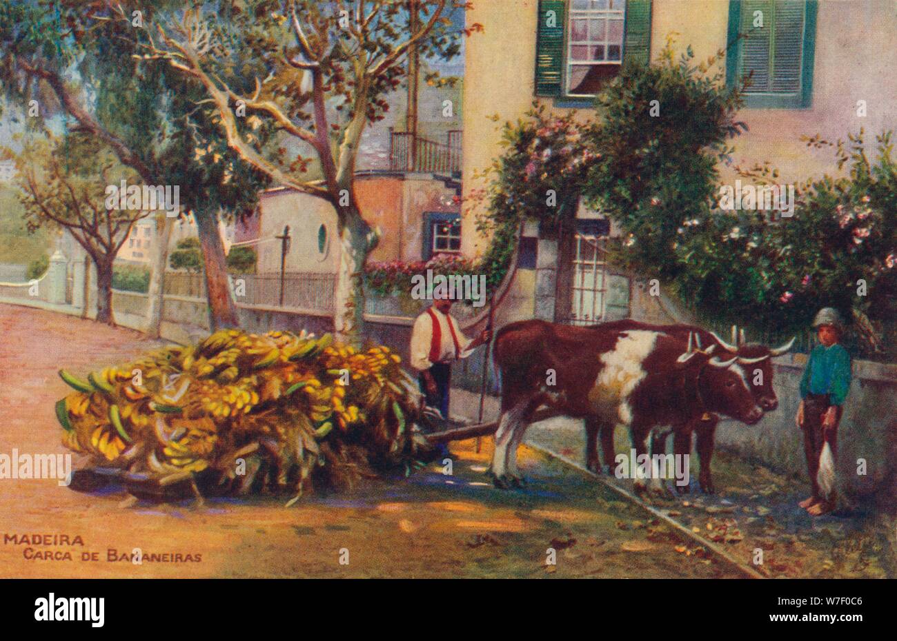 'Madeira - Carca De Bananeiras', C1940. Artista: sconosciuto. Foto Stock