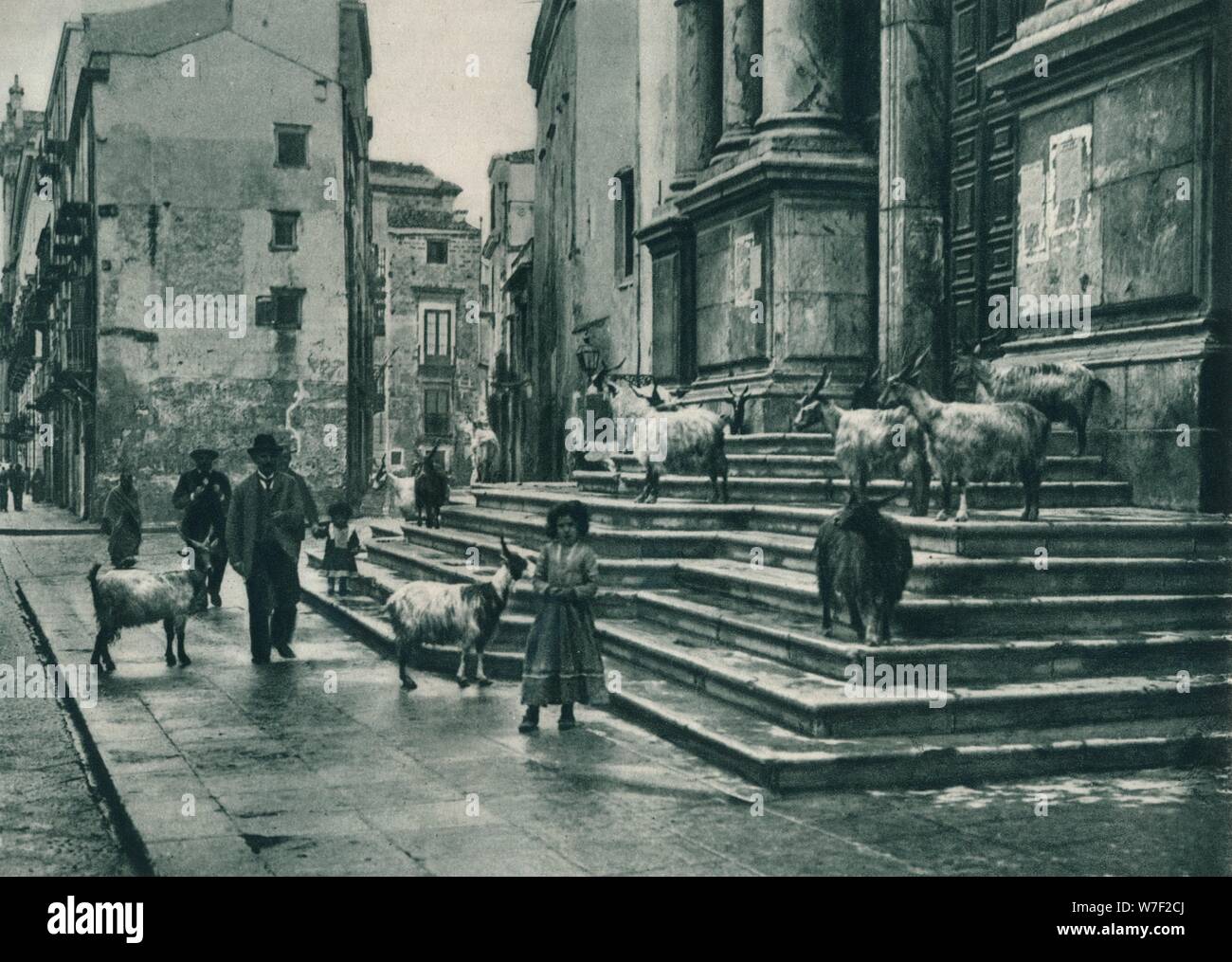 Caprini sui gradini della cattedrale, Palermo, sicilia, Italy, 1927. Artista: Eugen Poppel. Foto Stock