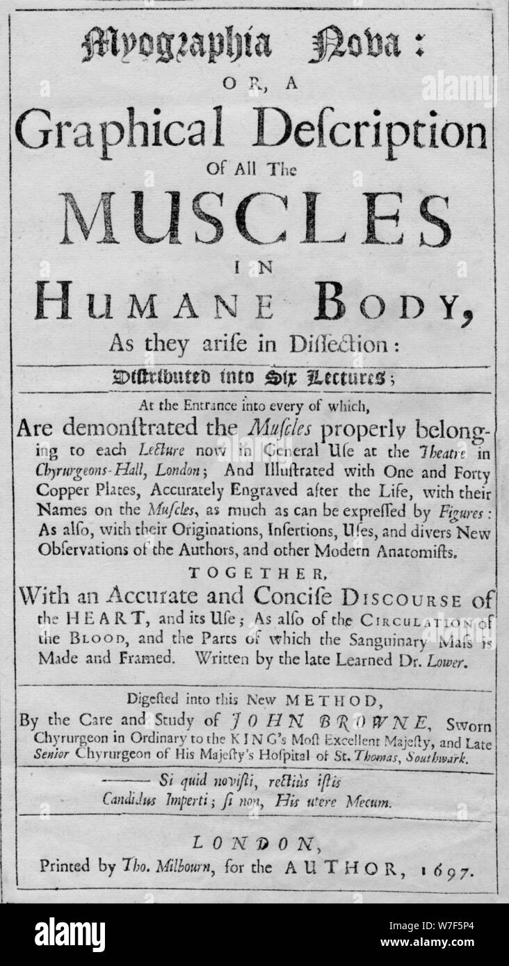 'Myographia Nova: o una descrizione grafica di tutti i muscoli del corpo umano, così come sono in artista disse: sconosciuto. Foto Stock