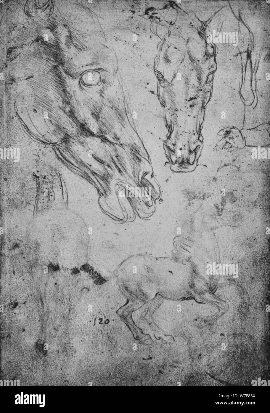 "Studi di cavalli e di cavalli' capi', C1480 (1945). Artista: Leonardo da Vinci. Foto Stock