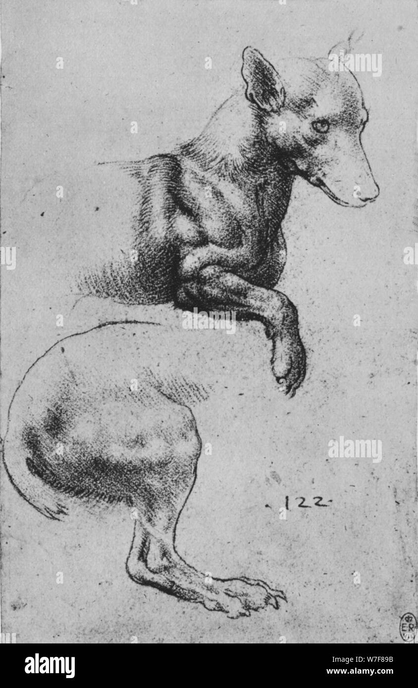 "Studi di avancorpo Hind-Quarters e di un cane', C1480 (1945). Artista: Leonardo da Vinci. Foto Stock
