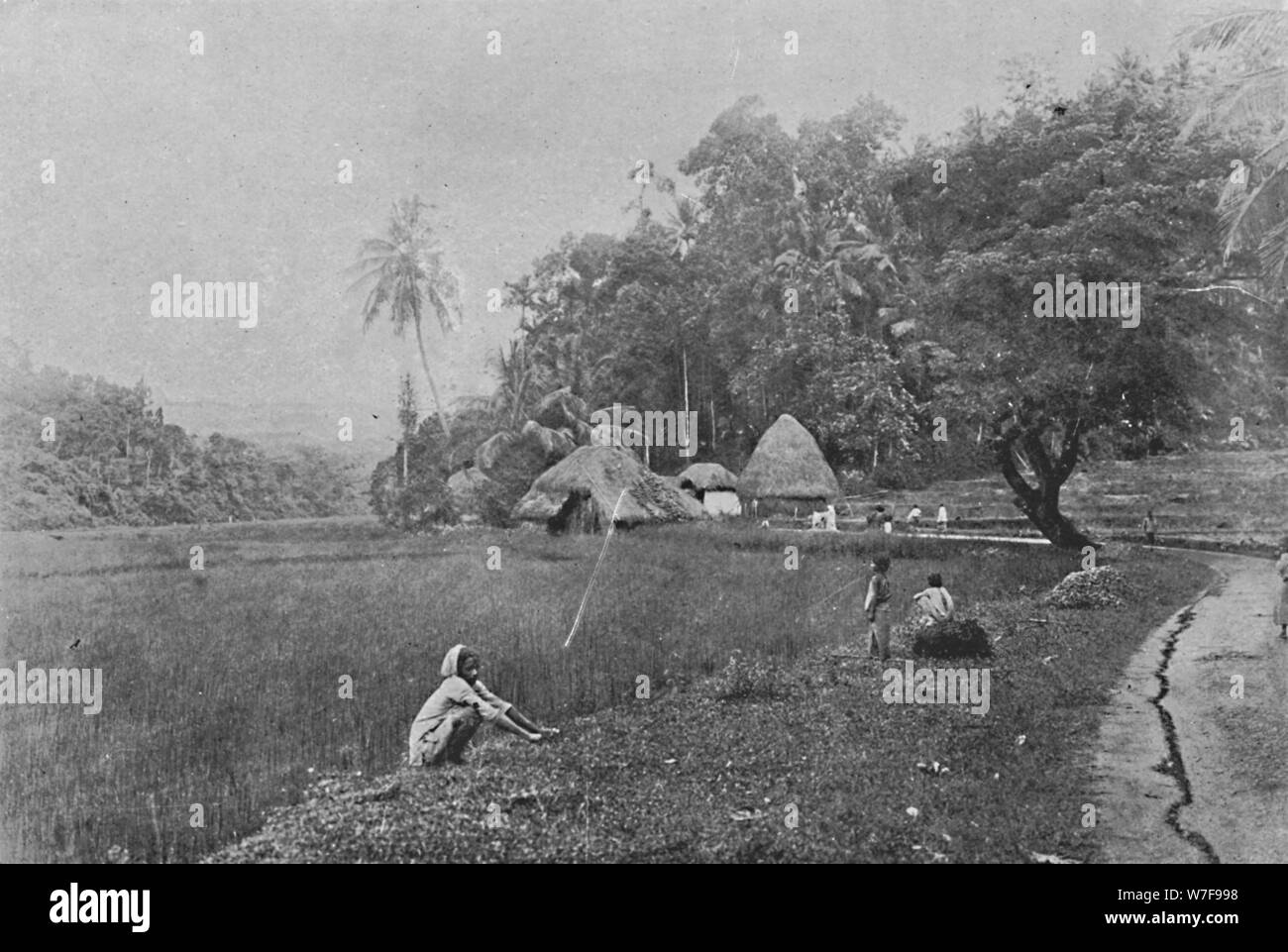 "Risaia vicino Gampola', c1890, (1910). Artista: Alfred William Amandus piastra. Foto Stock