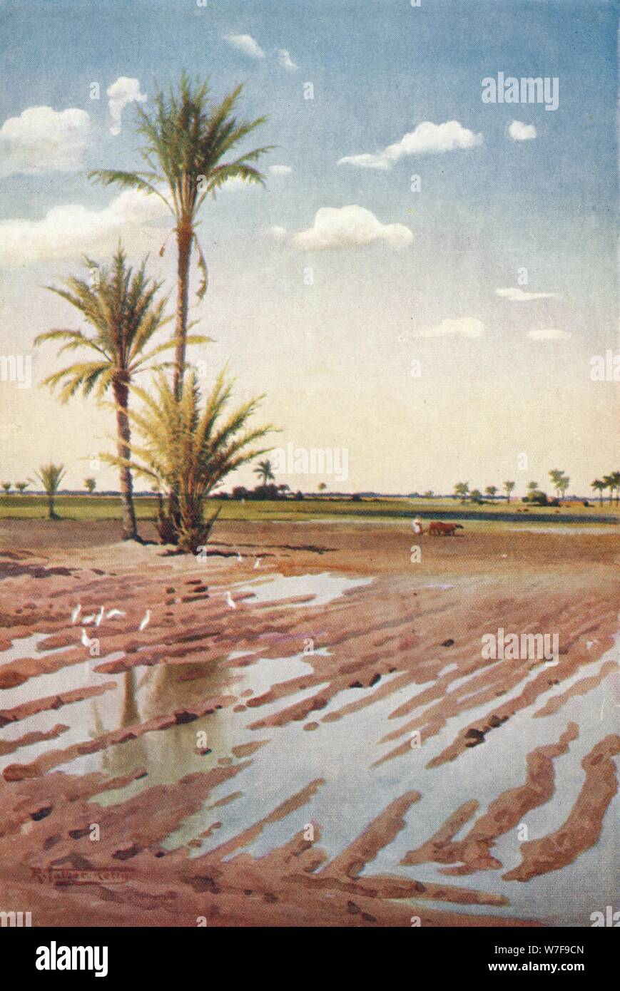 "Un campo irrigato', c1880, (1904). Artista: Robert George Talbot Kelly. Foto Stock
