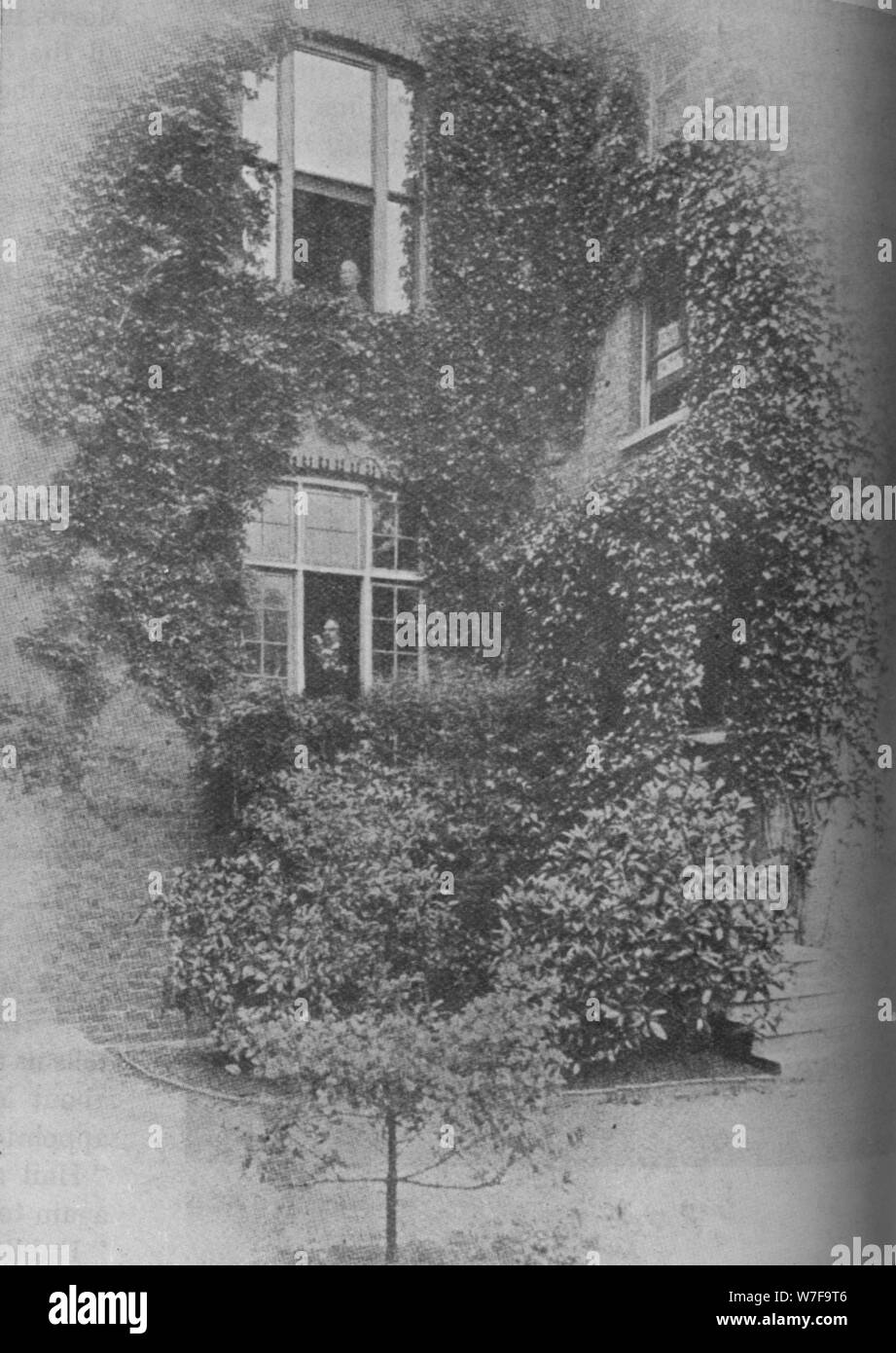 'Summer al Pines', c1909, (1934). Artista: sconosciuto. Foto Stock