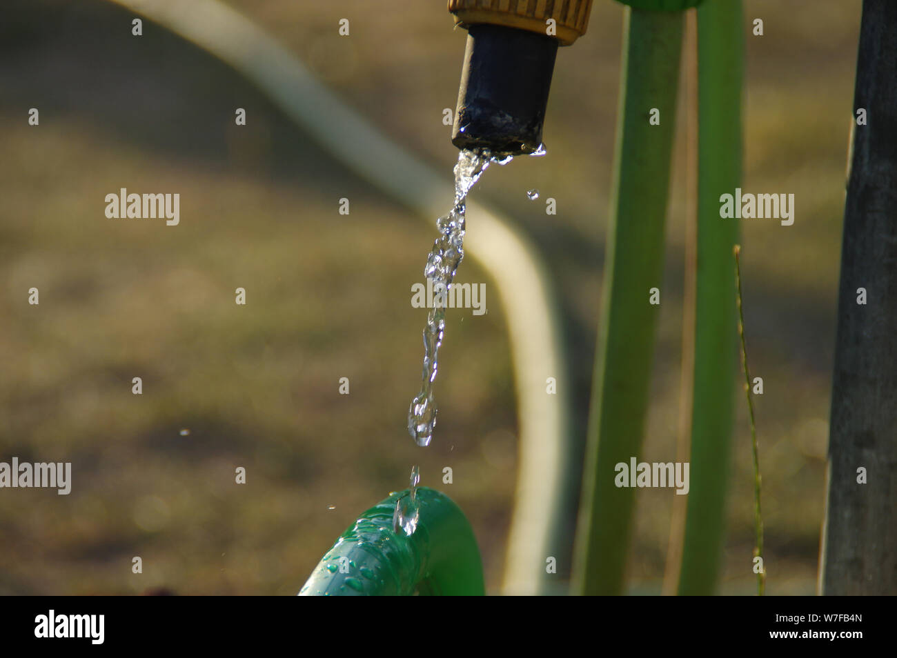 Gocce di acqua su Annaffiatoio in plastica nel giardino di casa. La siccità e il concetto di ecologia. Foto Stock