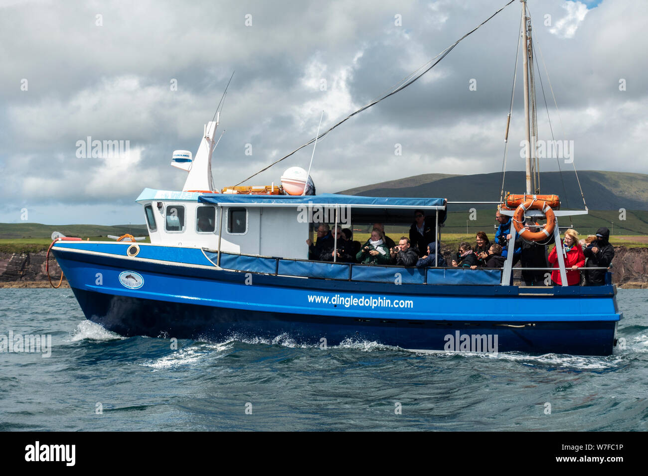 Osservazione dei delfini in ingresso alla baia di Dingle sulla penisola di Dingle, nella contea di Kerry, Repubblica di Irlanda Foto Stock