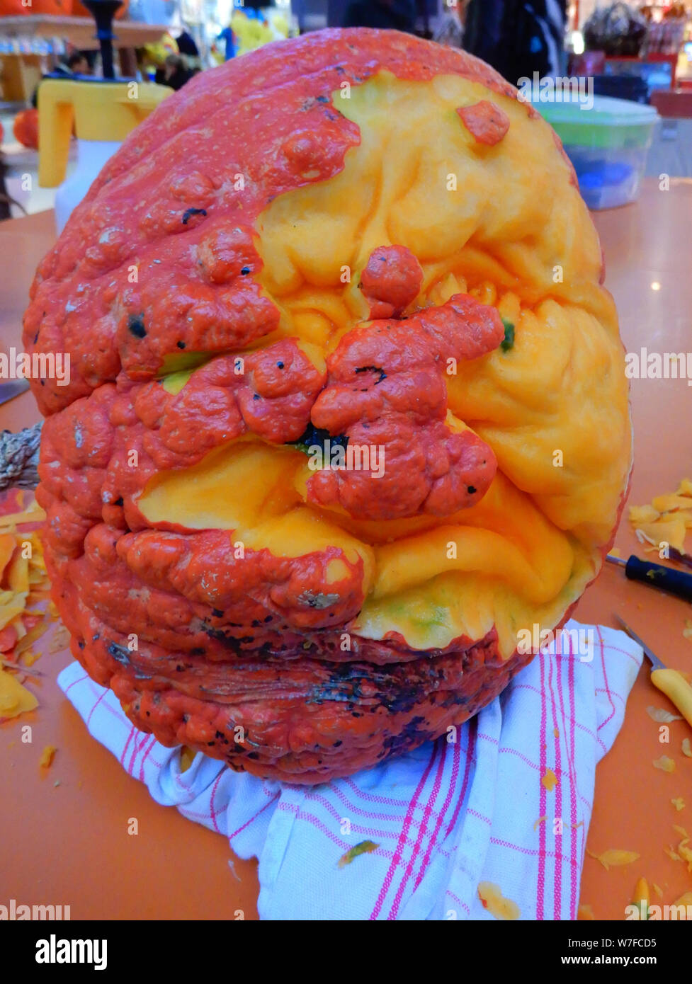 Sculture di zucca da alex neumayer dell'Austria Foto Stock