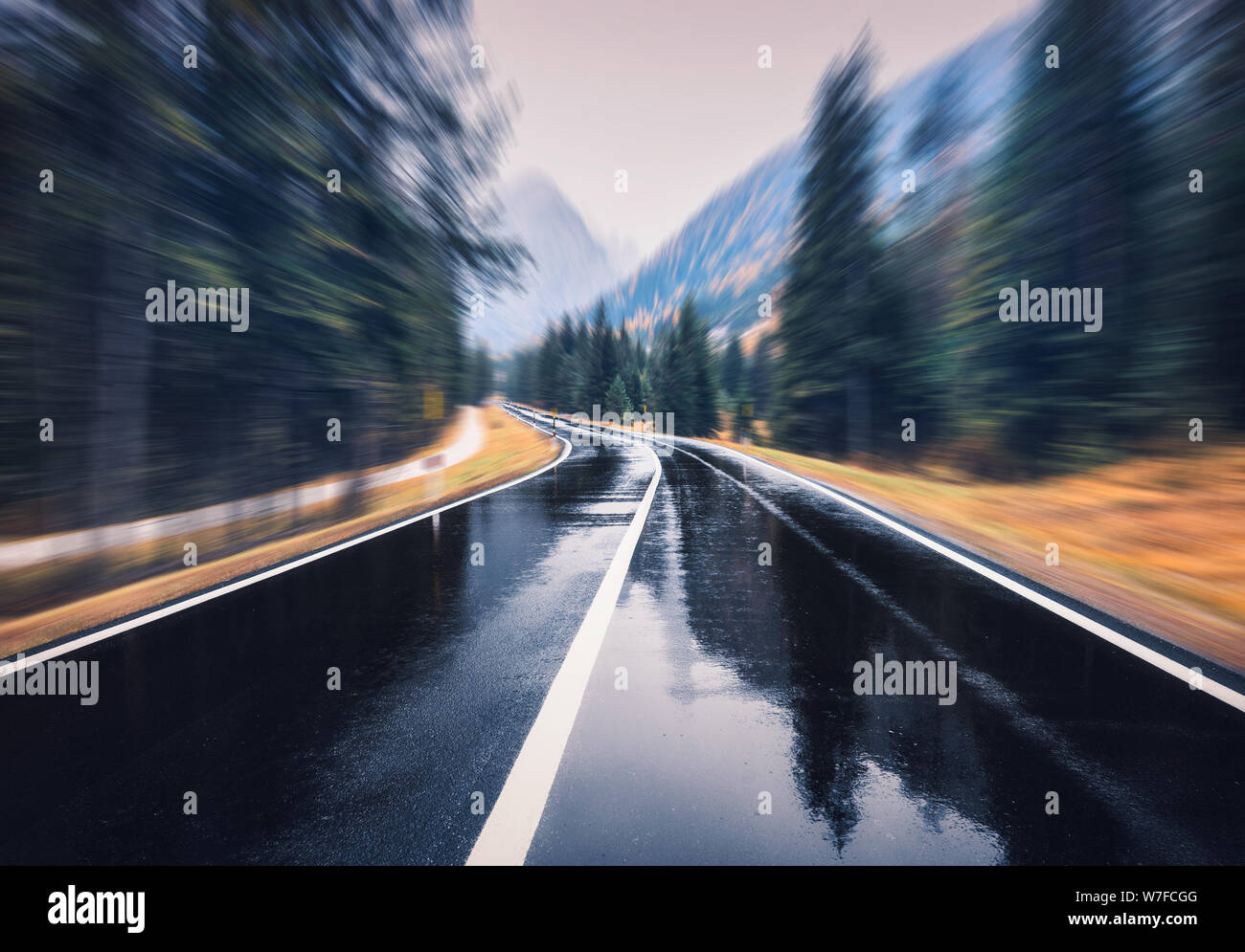 Strada nel bosco in autunno sotto la pioggia con motion blur effetto Foto Stock
