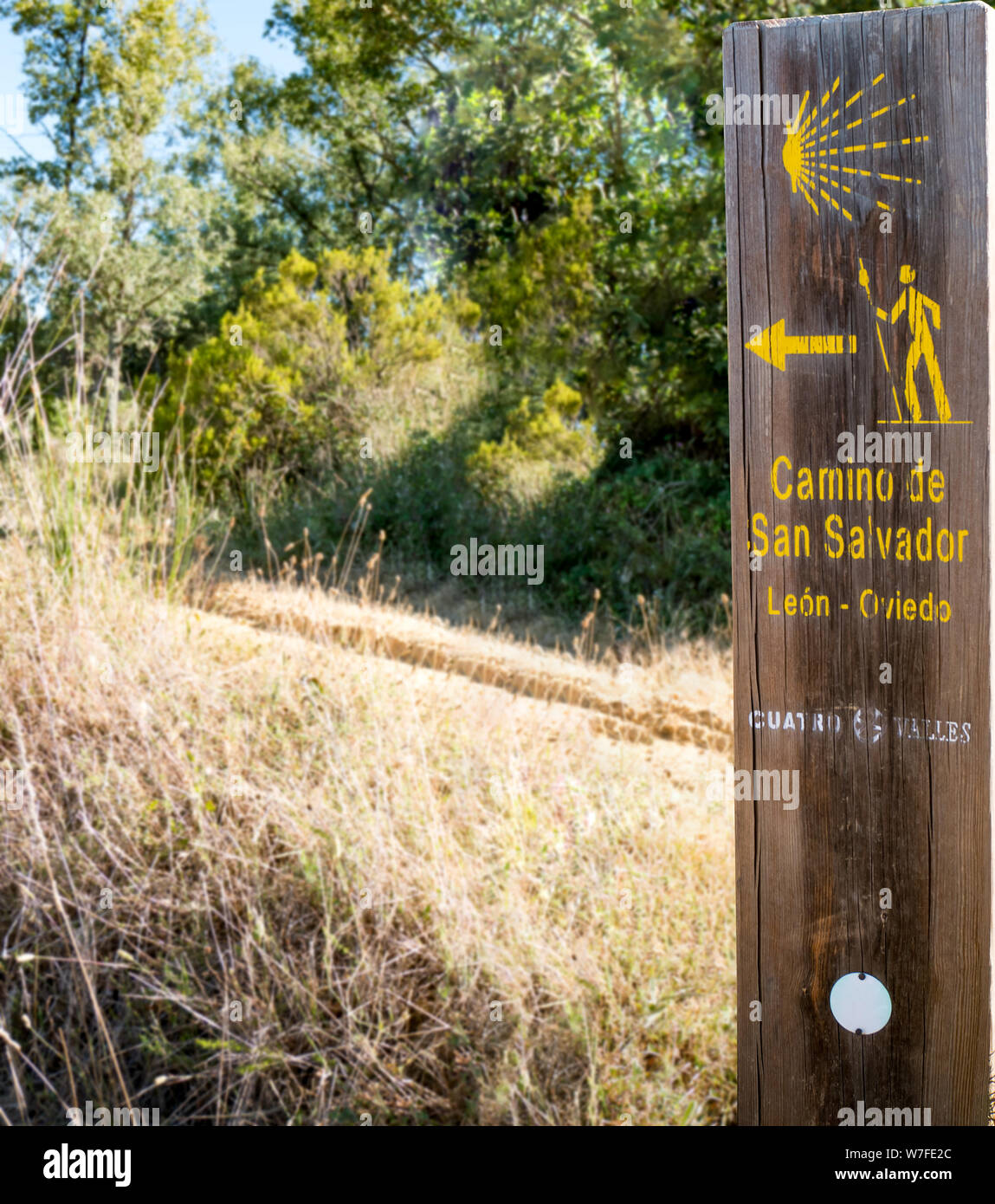 Tradizionale freccia gialla dipinta sul modo. Direzione segno per i pellegrini di Saint James way, Camino de Santiago de Compostela, Camino de San Salvador, Foto Stock