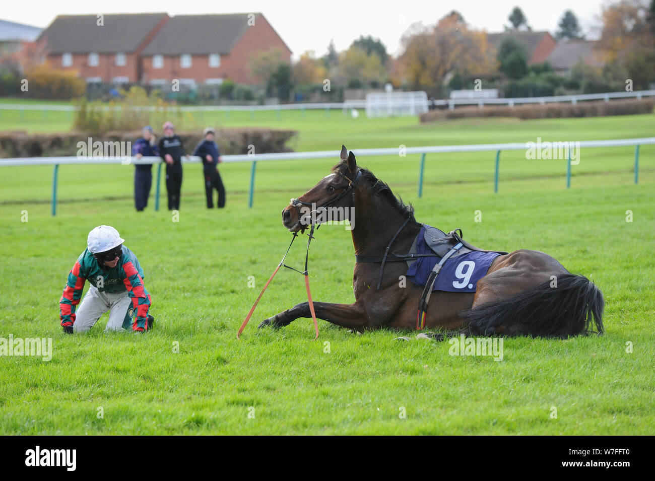 Hereford gare, Martedì 13 Novembre, 2018. Ron Taylor ottantesimo compleanno British stallone prigionieri EBF 'National Hunt' novizi' ostacolo (Div 1) (classe 4). Boschi Kielan & Telson Orzo è sceso all'ultimo. Foto Stock