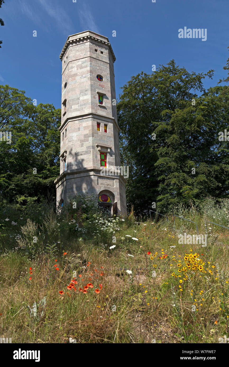 Elisabeth tower, Bungsberg, Schönwalde, Schleswig-Holstein, Germania Foto Stock