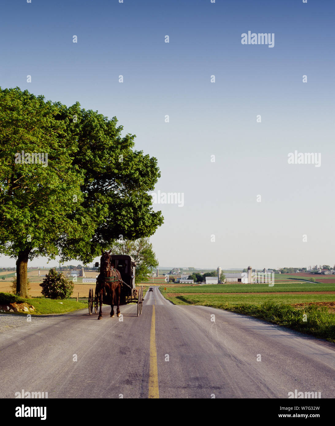 Buggy Amish in Pennsylvania Foto Stock