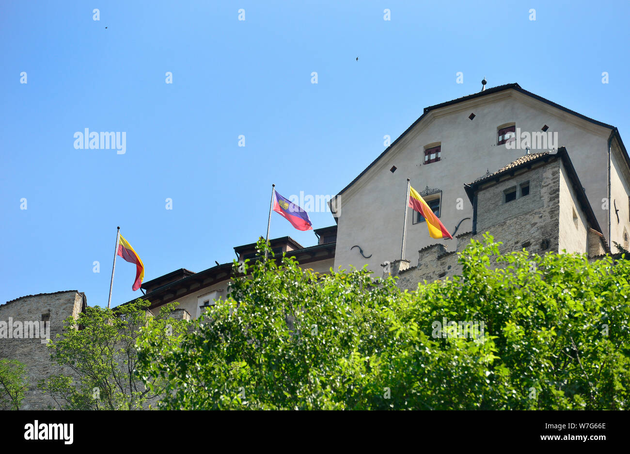 24 luglio 2019, il Liechtenstein VADUZ: Vaduz Castello a Triesenberg - Il Principato del Liechtenstein è di 300 anni. Essa è stata fondata il 15 agosto 1719, tra la Svizzera e l'Austria. Il capitale è Vaduz (nell'immagine). Foto: Volkmar Heinz/dpa-Zentralbild/ZB Foto Stock