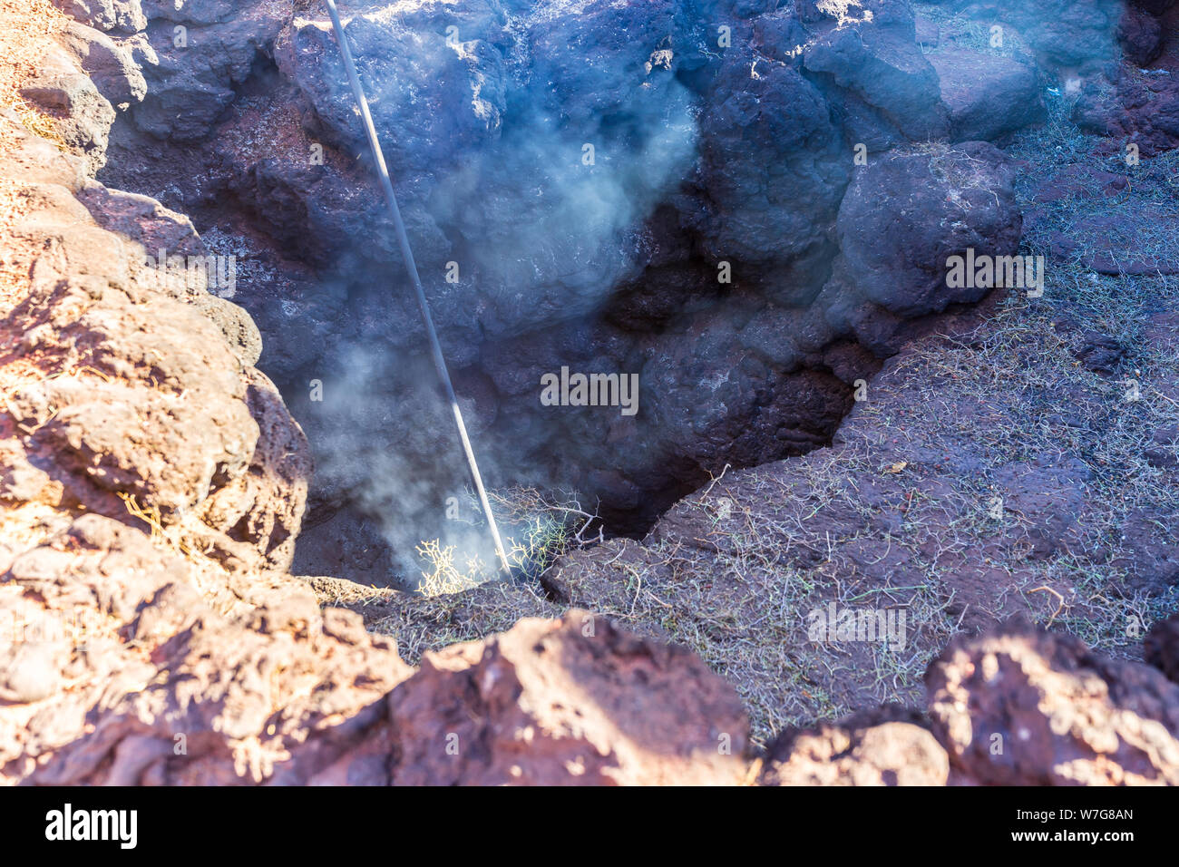 Spagna Lanzarote, la balla di fieno di fumare in calore di energia geotermica del vulcano timanfaya Foto Stock