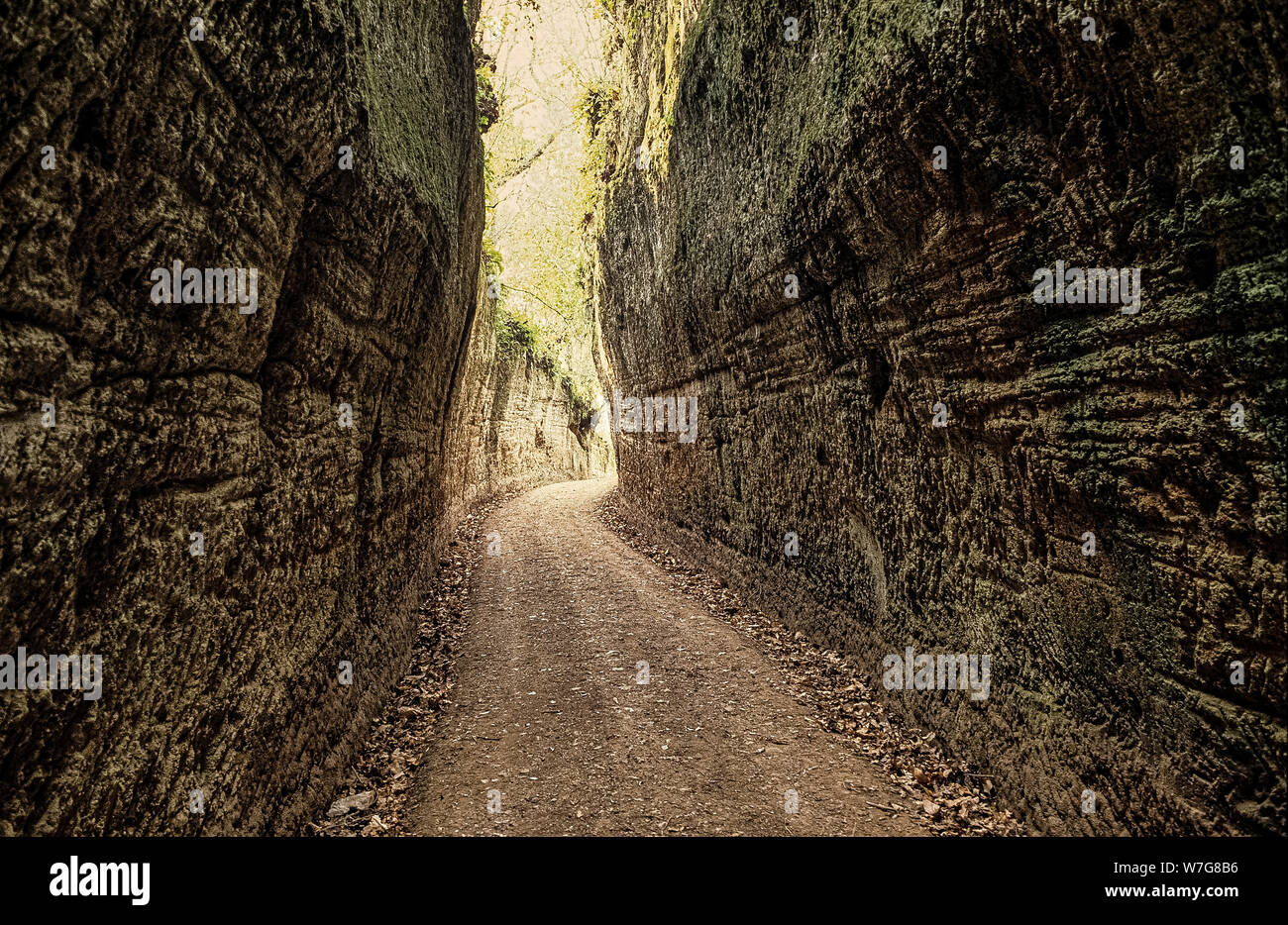 Toscana ( Gr ) Sovana strada etrusca scavata nel tufo | Toscana (Gr) Sovana etrusca - strada etrusca scavata nel tufo Foto Stock