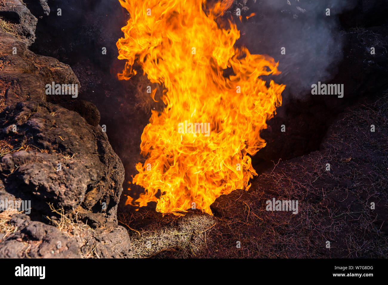Spagna, Lanzarote, vulcanica calore terrestre accende un fuoco della balla di fieno nella fessura di massa in timanfaya Foto Stock