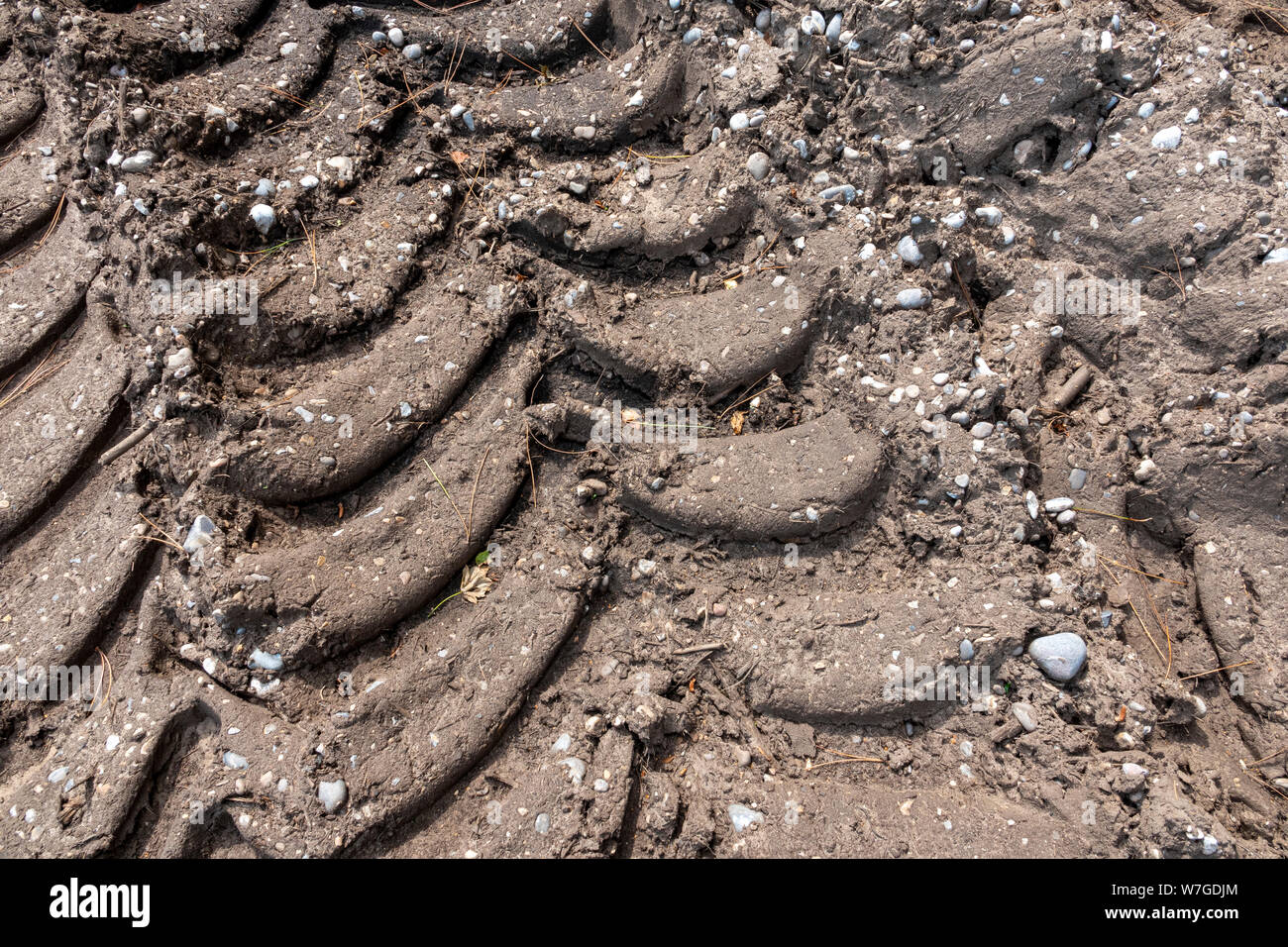 Profondo e largo i cingoli del trattore impresso nel fango Foto Stock
