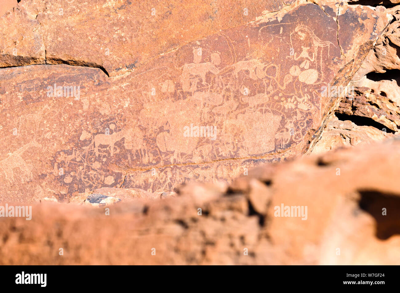 6000 anno di età le incisioni rupestri di animali a Twyfelfontein, Namibia Foto Stock