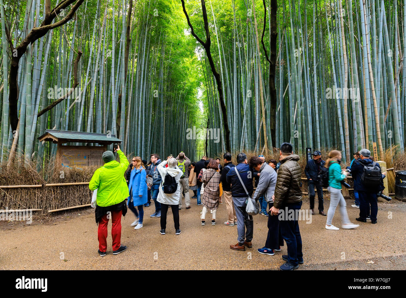 ARASHIYAMA, Giappone, 02 aprile 2019 : i turisti sono a scattare foto all'ingresso del Arashiyama foresta di bamboo percorso . Foto Stock