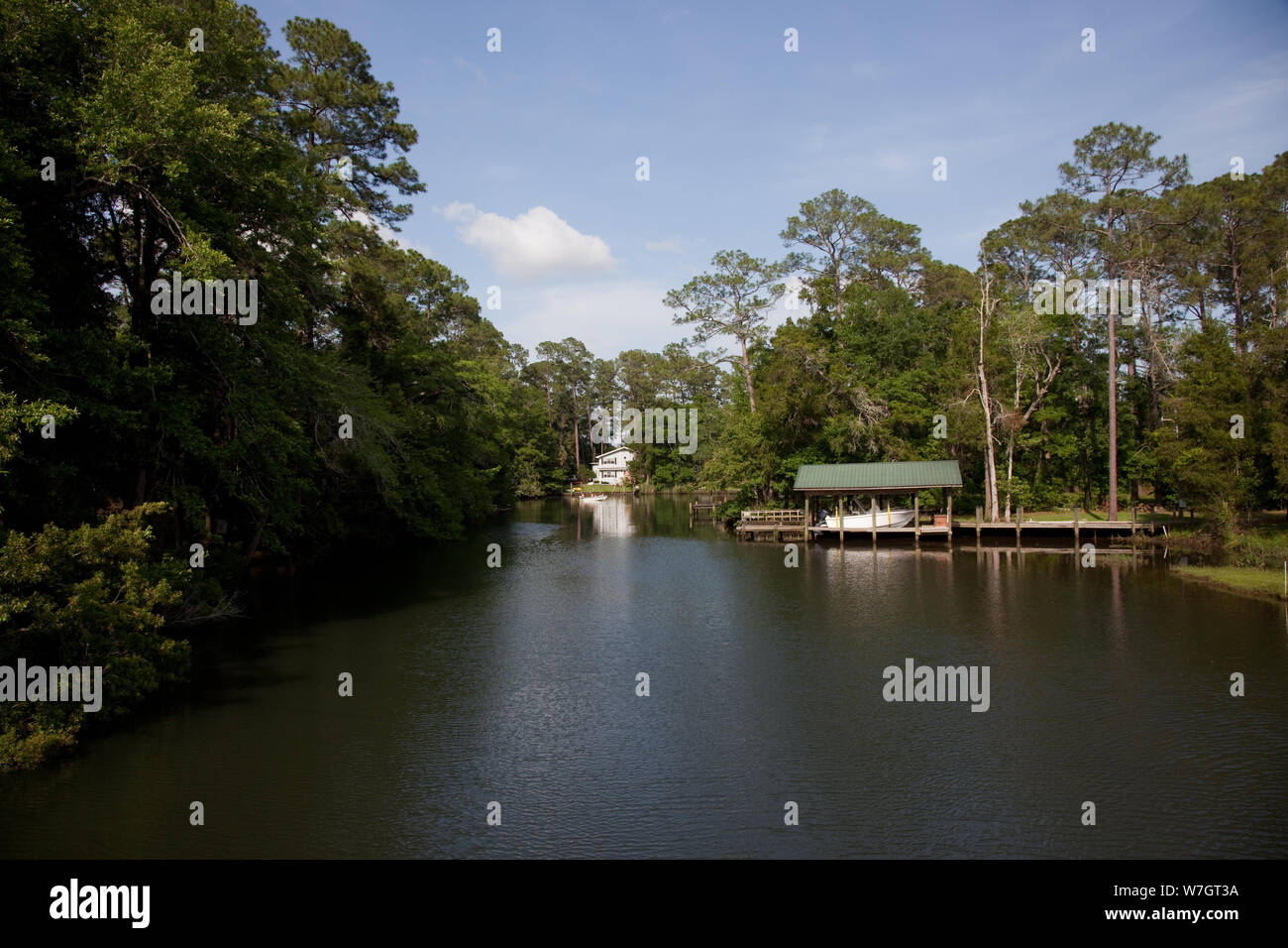 Bella europee e scene rurali in Baldwin County, Alabama. Gli alberi di noci pecan sono abbondanti Foto Stock