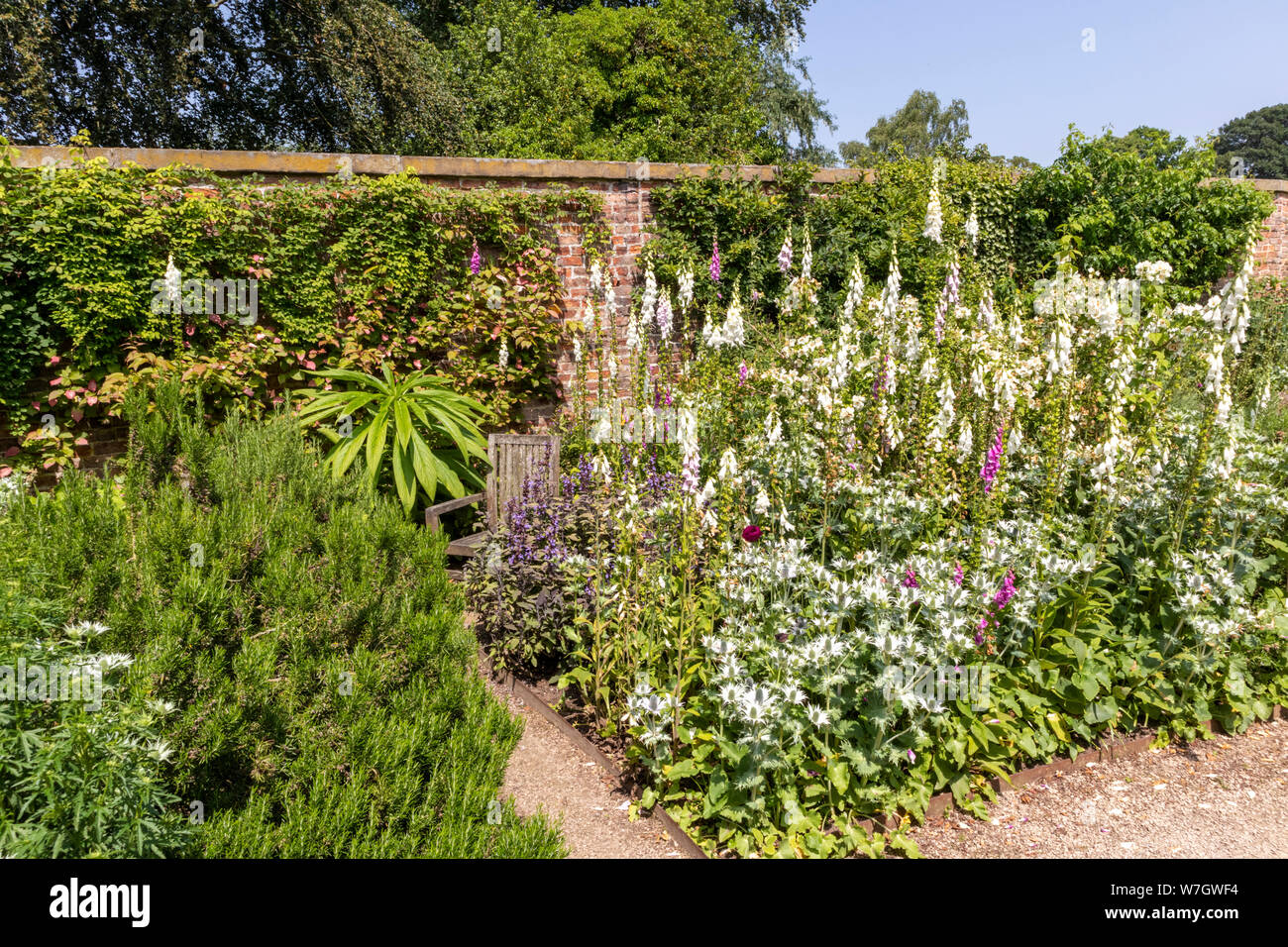 Inizio estate nei giardini a Beningborough Hall, North Yorkshire, Regno Unito Foto Stock
