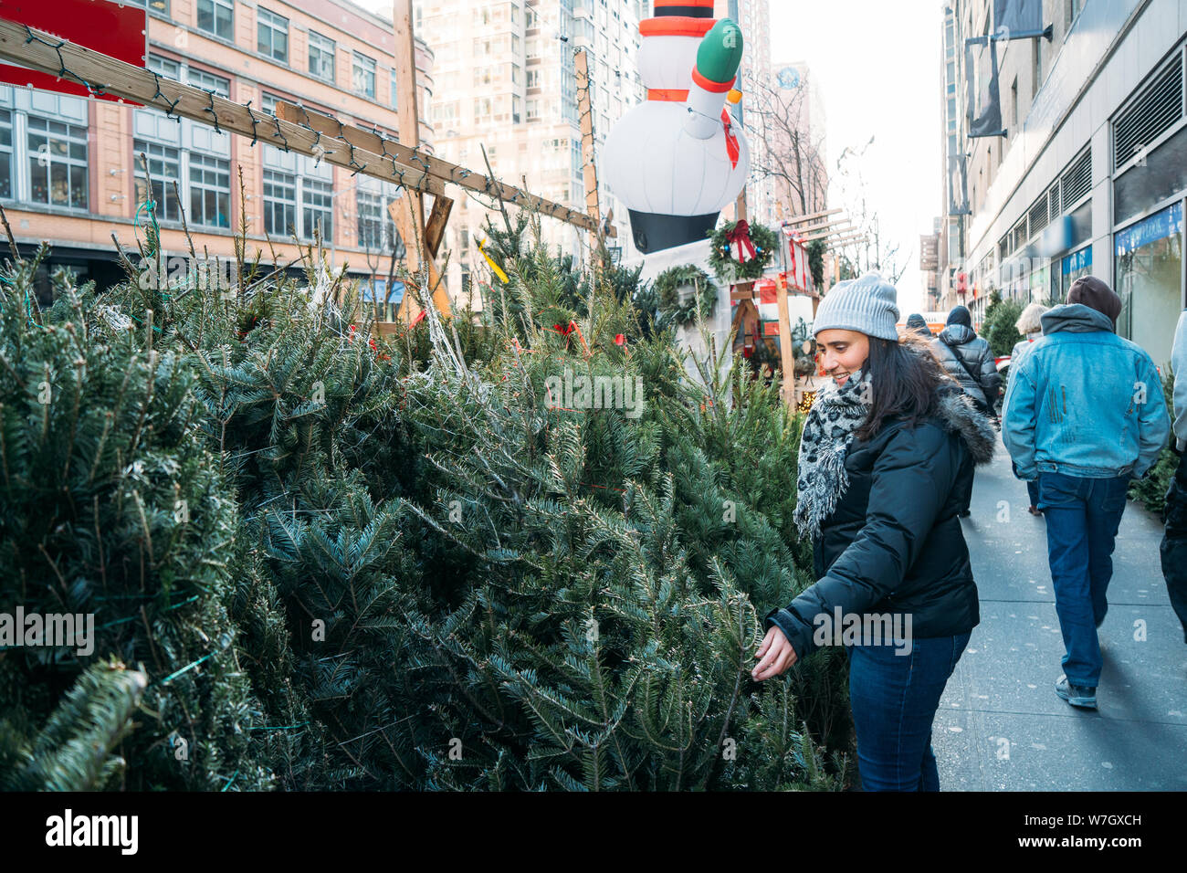Una bella donna vestita di un cappotto osservando piccoli alberi di pino in strada - Natale a New York - foto colorate Foto Stock