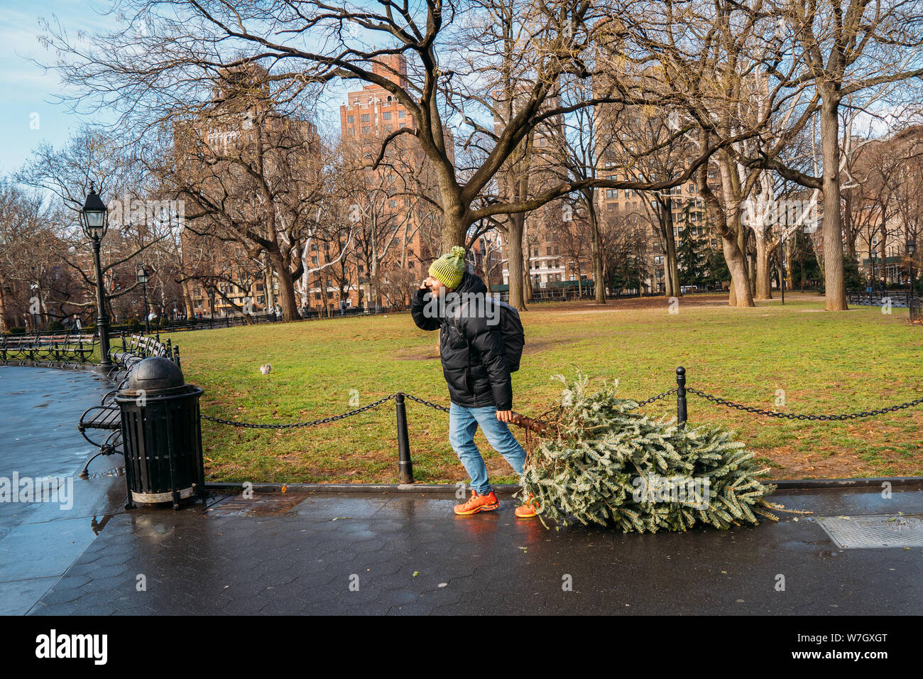 Un uomo vestito con un cappotto trascina un piccolo pino per decorare per Natale a New York City - giovane turista parlando al telefono Foto Stock