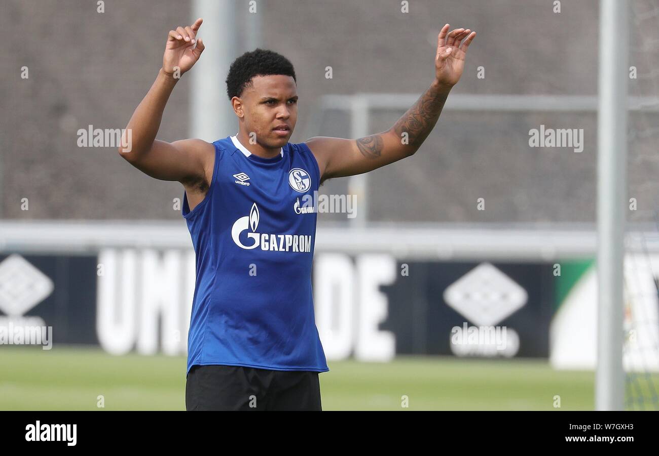 Firo: 06.08.2019 Calcio, 2019/2020 1.Bundesliga: FC Schalke 04 formazione Weston McKennie | Utilizzo di tutto il mondo Foto Stock