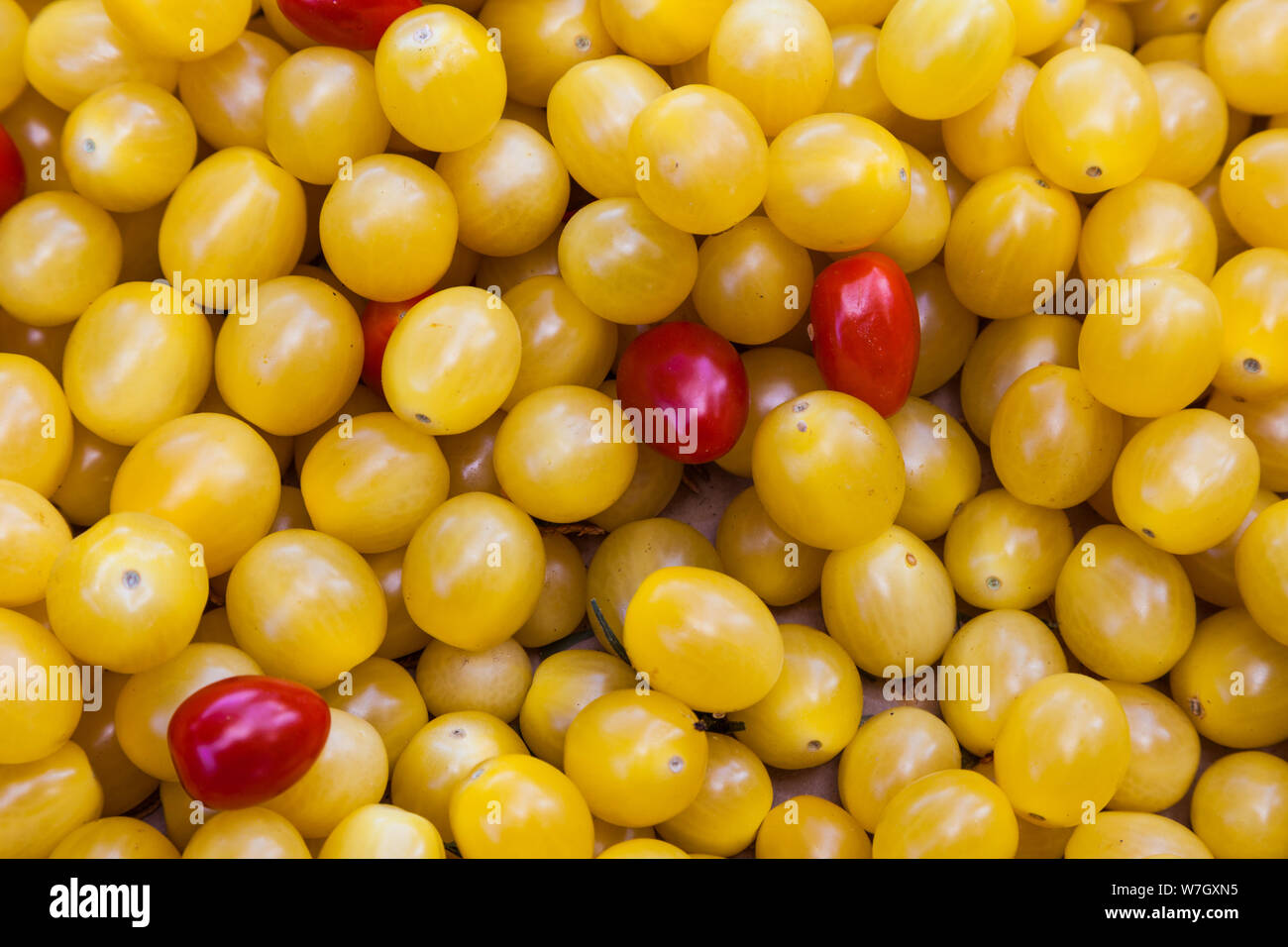 Verdure per la vendita presso la fattoria di Richmond Market in British Columbia Foto Stock